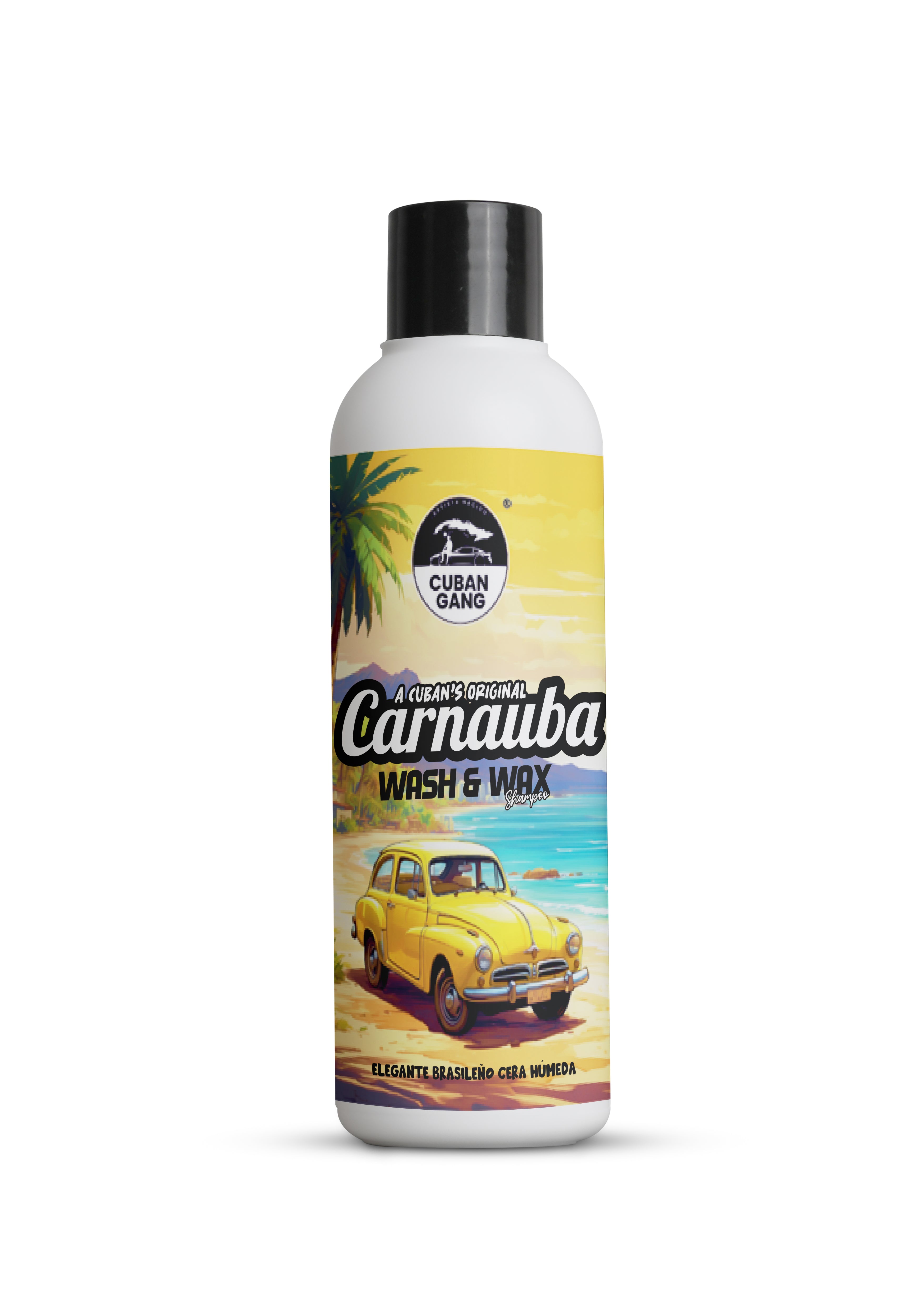 Carnauba Wash and Wax